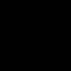 Meet your Posher, Mia